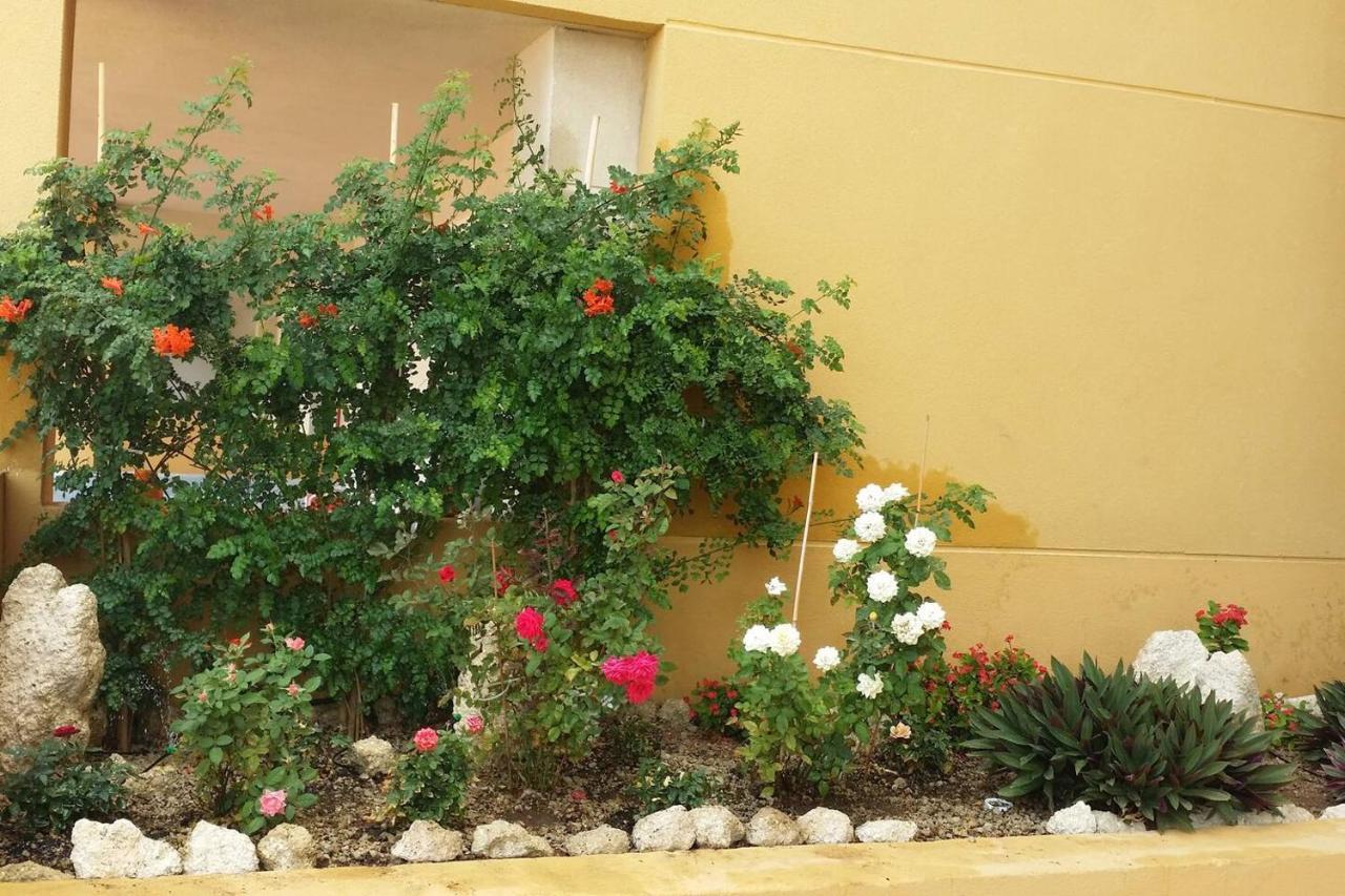 431 - Edif Aguamarina - Vacation Rental Home In The Coast Line Of Golf Del Sur San Miguel de Abona Bagian luar foto